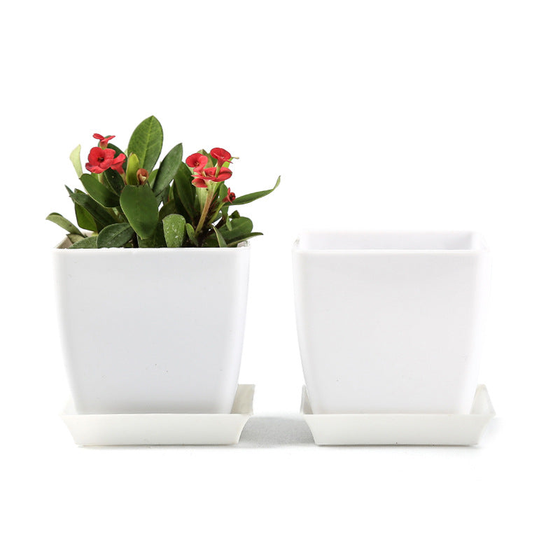 Modern Minimalist Ceramic Planter Homeandso