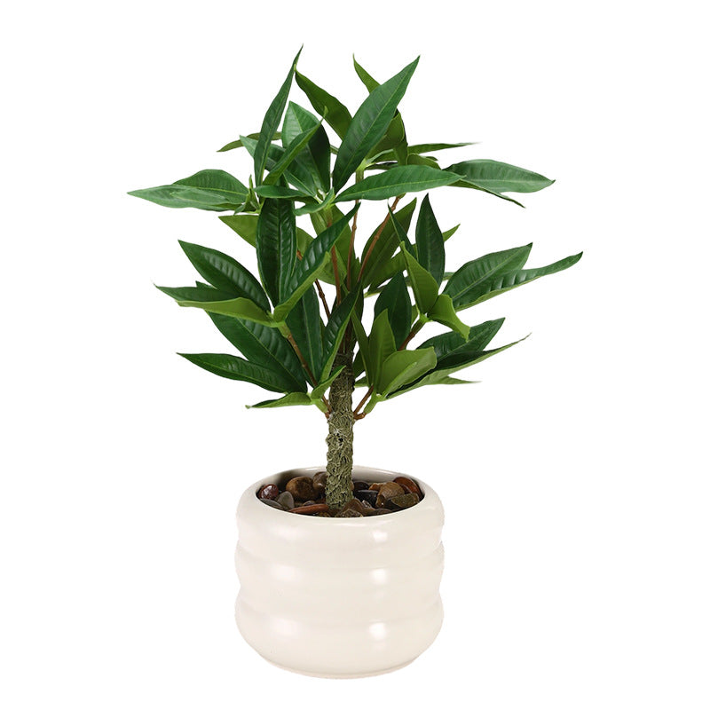 Decorative Potted Plant Arrangement Homeandso