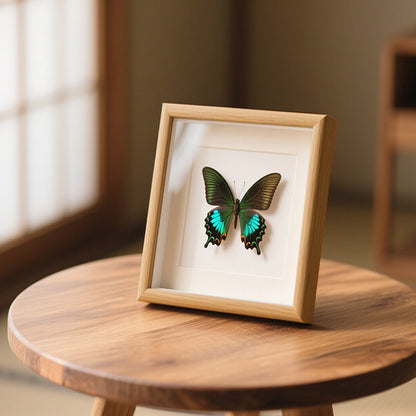 Butterfly Shadow Box Decor