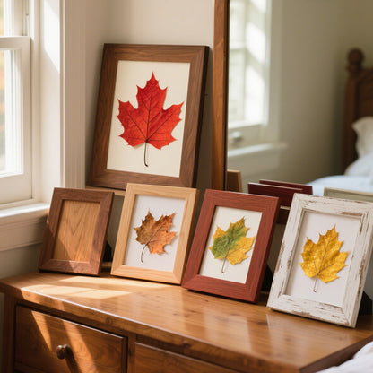 Framed Natural Leaf Art Display