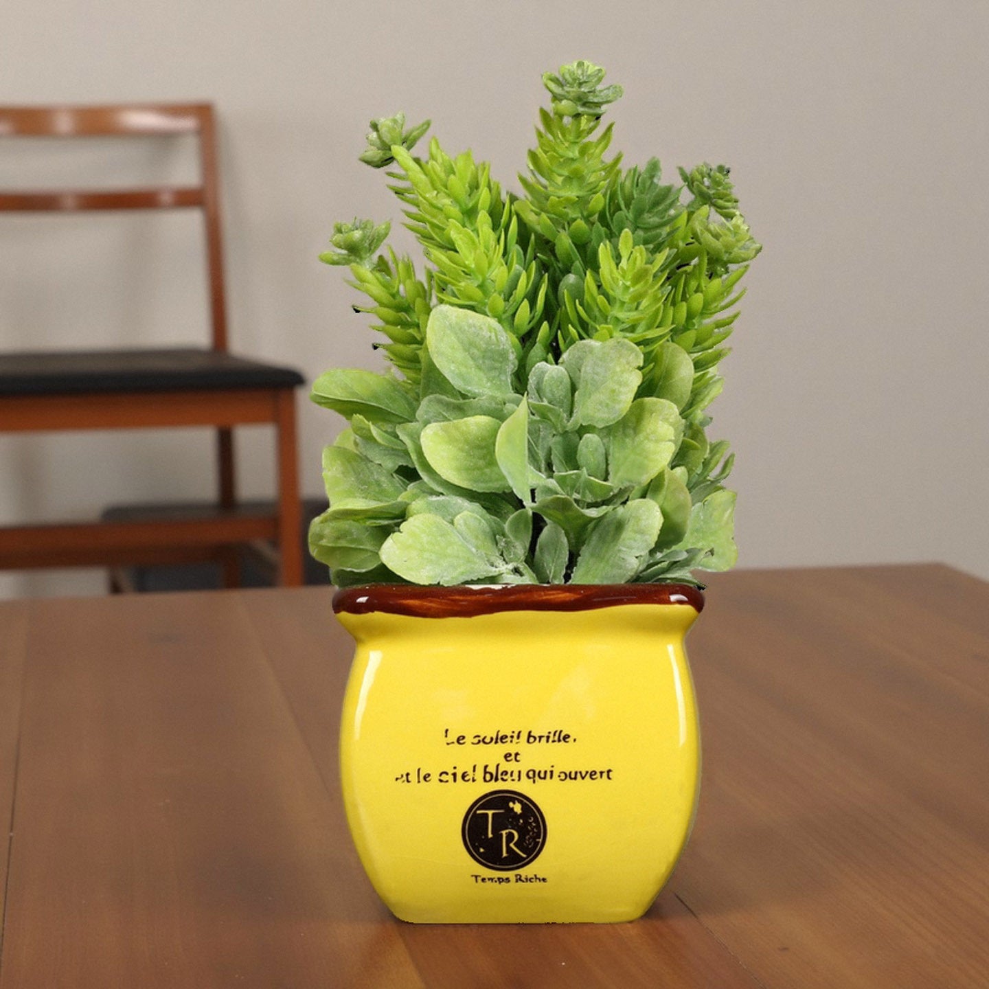 Decorative Potted Plant Homeandso