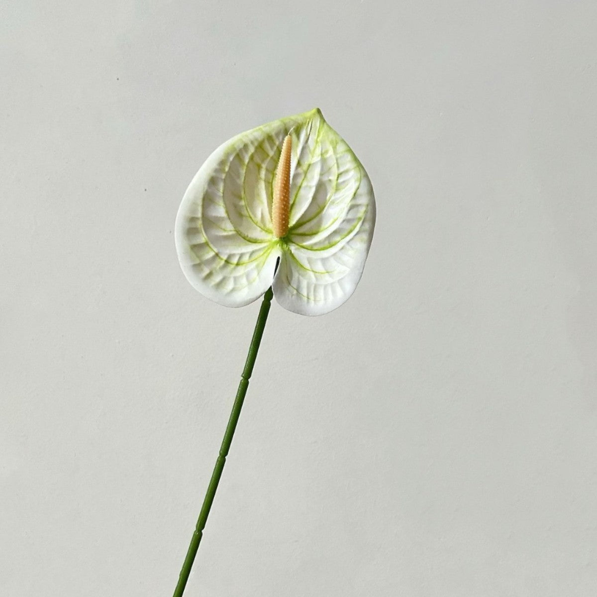 Elegant Orchid Floral Stem
