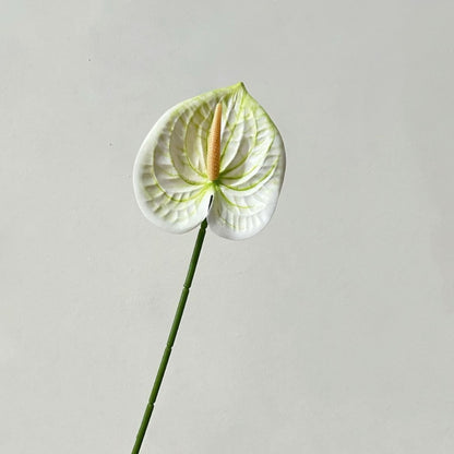 Elegant Orchid Floral Stem