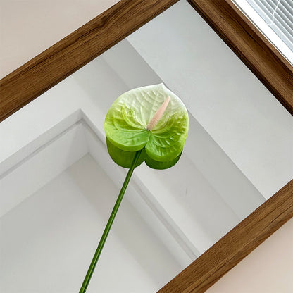 Elegant Orchid Floral Stem