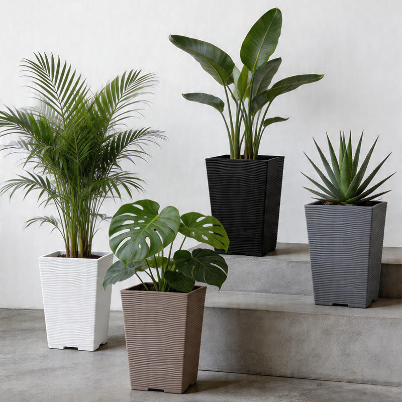 Textured Square Plant Container Homeandso