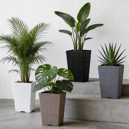 Textured Square Plant Container Homeandso