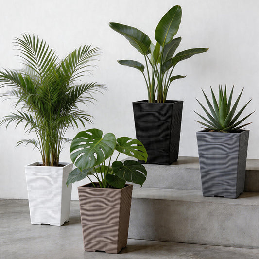 Textured Square Plant Container Homeandso