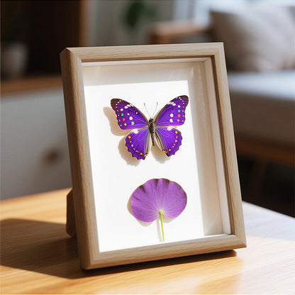 Butterfly Art