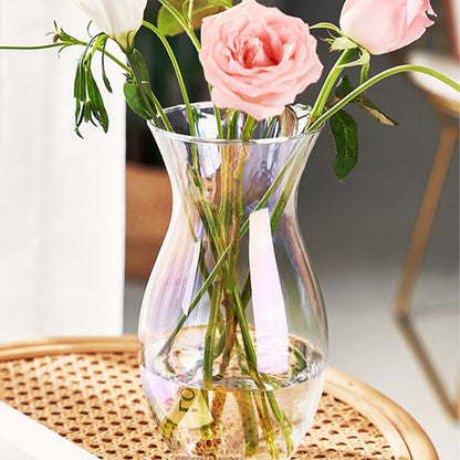 Elegant Glass Vase