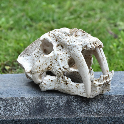 Decorative Animal Skull Figurine Homeandso
