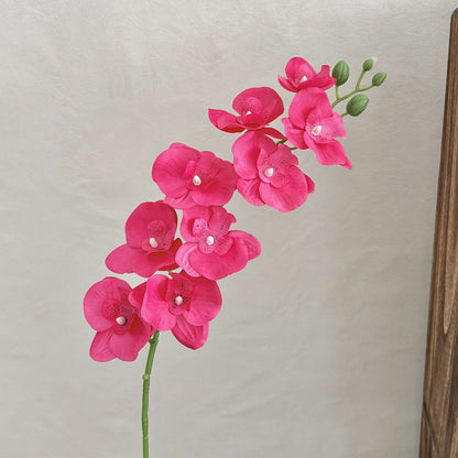 Decorative Orchid