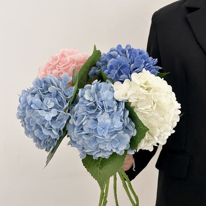 Realistic Hydrangea Stem
