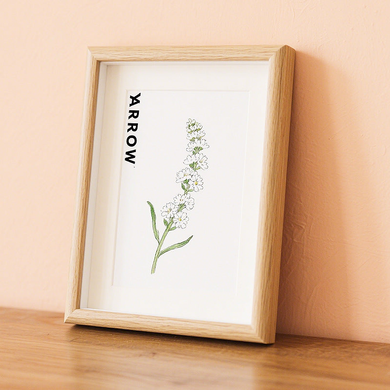 Botanical Illustration Art Frame