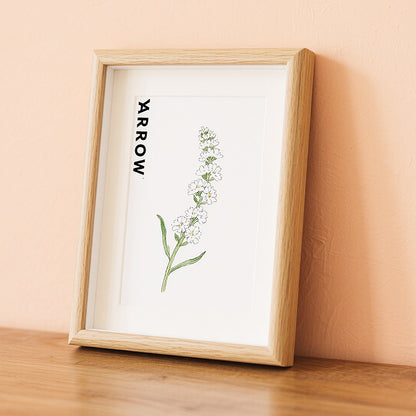 Botanical Illustration Art Frame