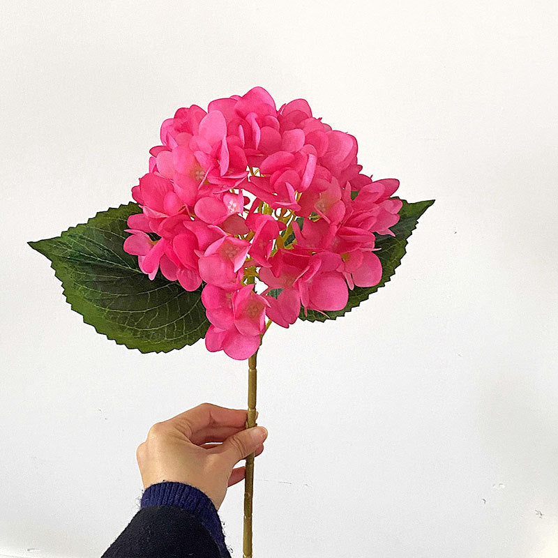 Premium Hydrangea Floral Stem