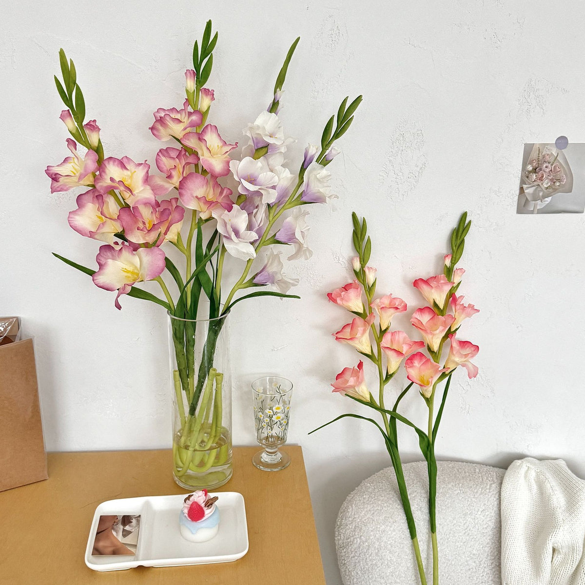 Elegant Gladiolus Floral Stem