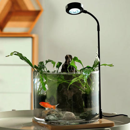 Dekorative Texturierte Glasvase