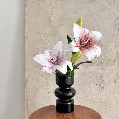 Decorative Orchid