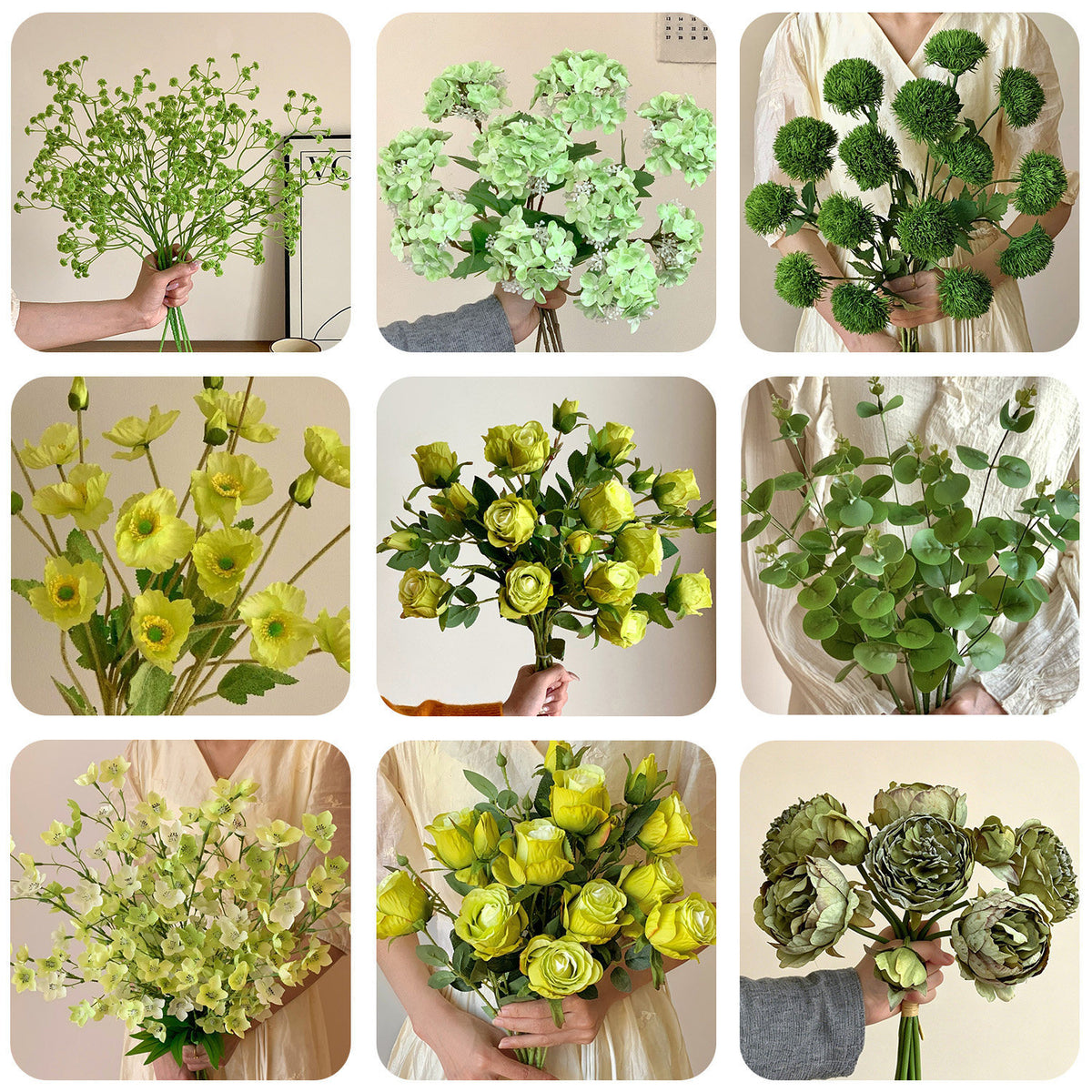 Decorative Plant