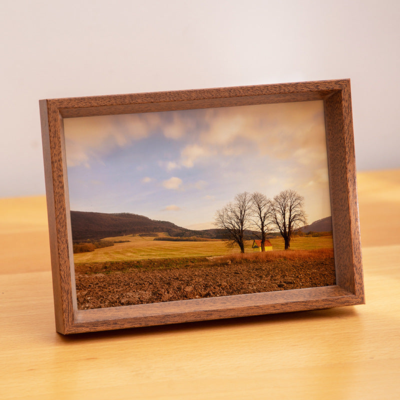 Decorative Framed Art