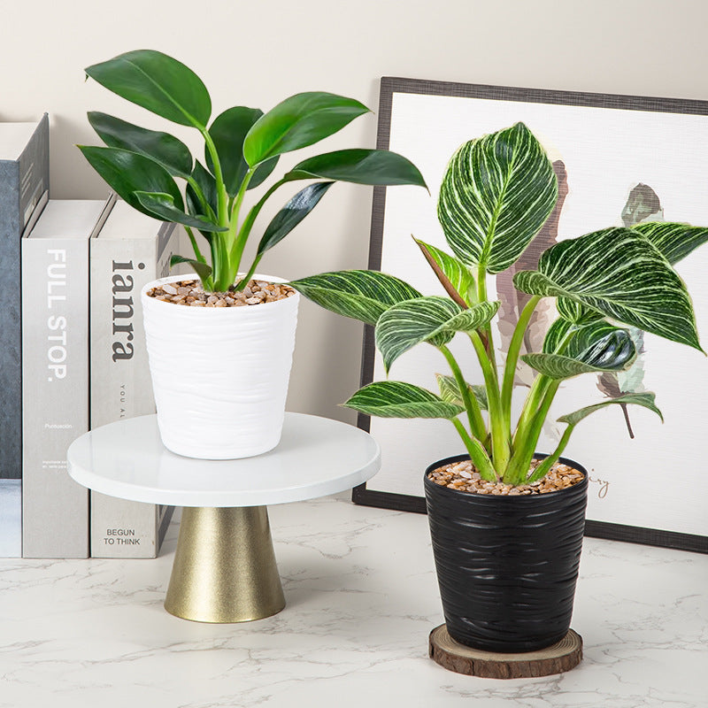 Textured Wave Design Ceramic Planter Homeandso