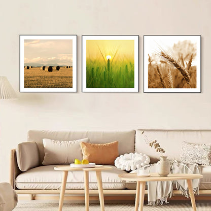 Framed Floral Artwork Homeandso 1790073032