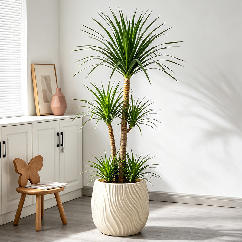Textured Decorative Ceramic Planter Homeandso