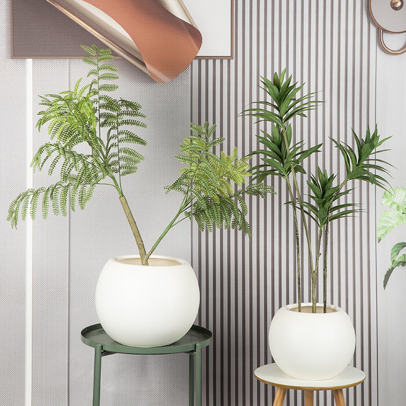 Elegant Curved Ceramic Planter Homeandso