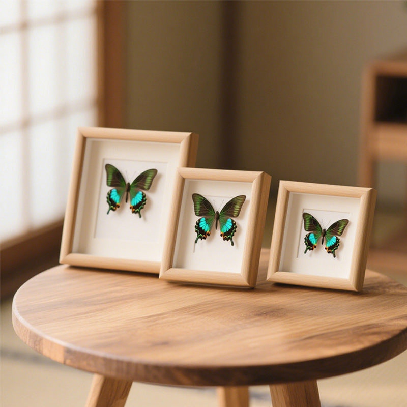 Butterfly Shadow Box Decor