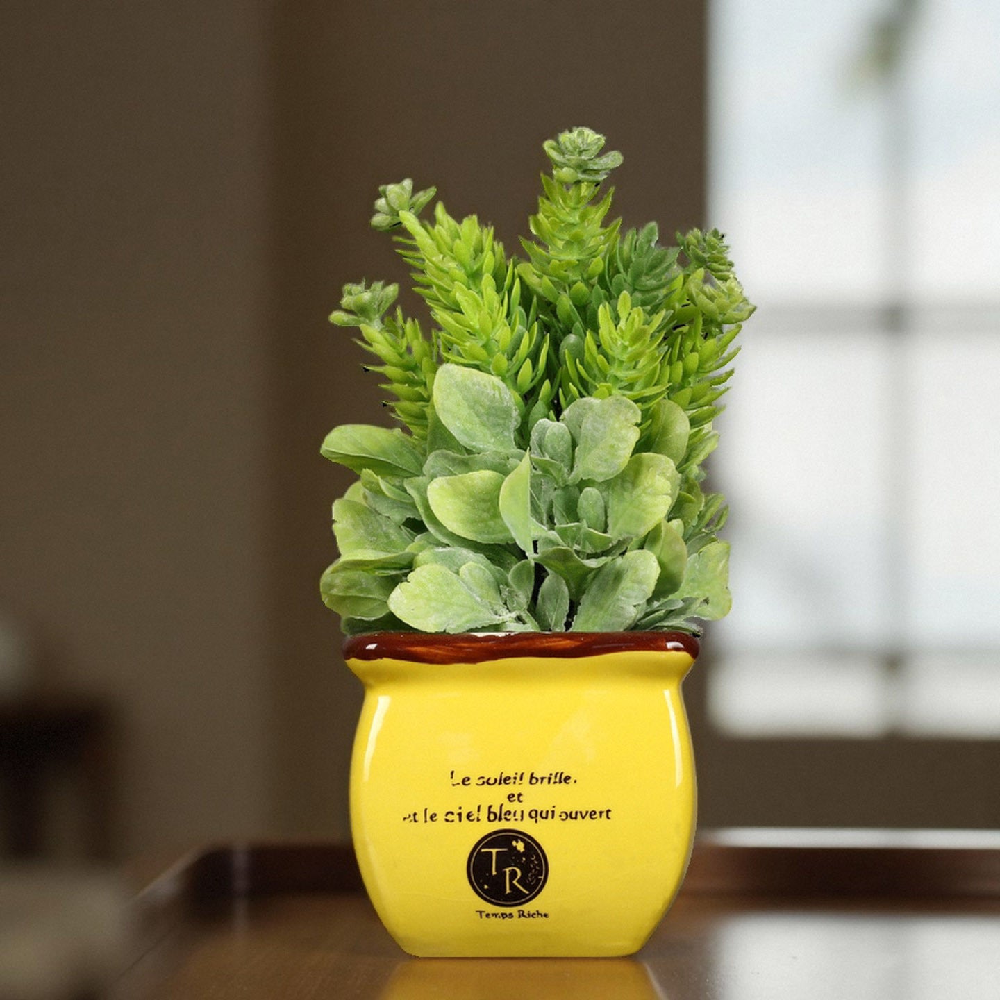 Decorative Potted Plant Homeandso