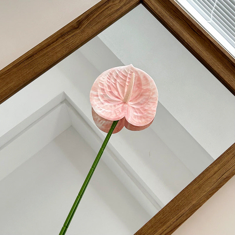 Elegant Orchid Floral Stem