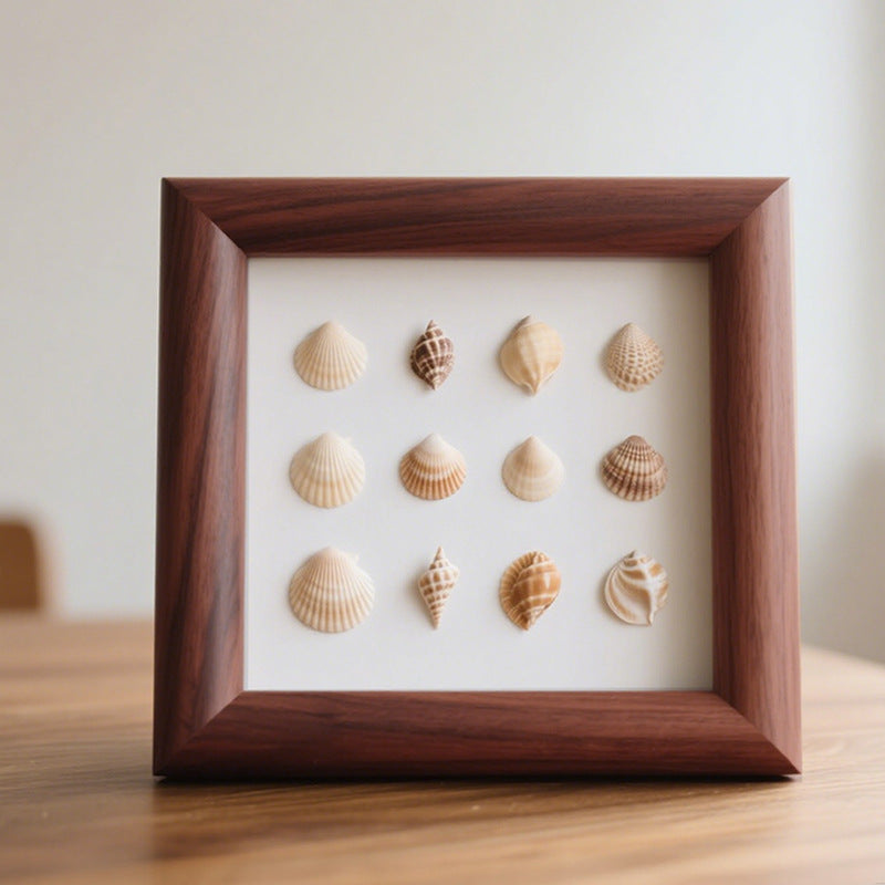 Sea Shell Shadow Box Display