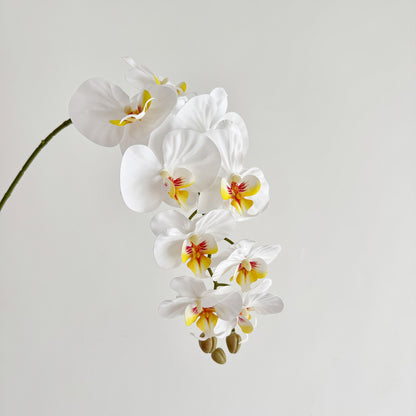 Premium Artificial Orchid Stem
