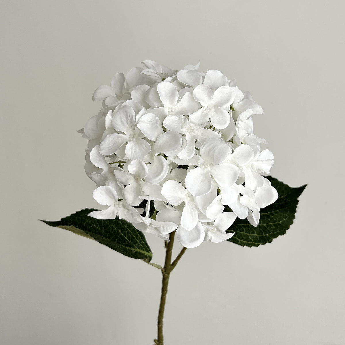 Realistic Floral Hydrangea Stem