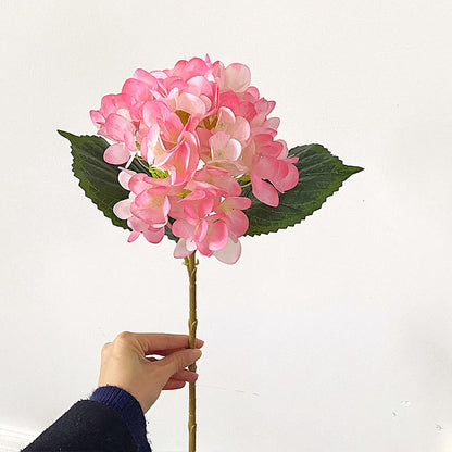 Premium Hydrangea Floral Stem