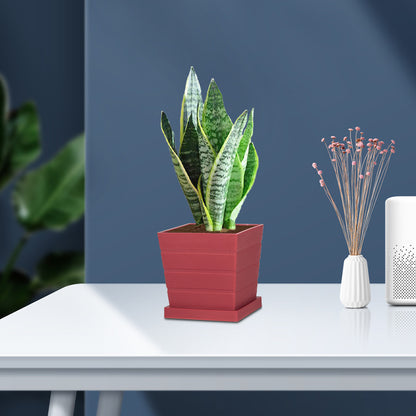 Modern Stackable Plastic Plant Container Homeandso