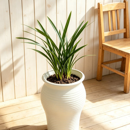 Decorative Planter