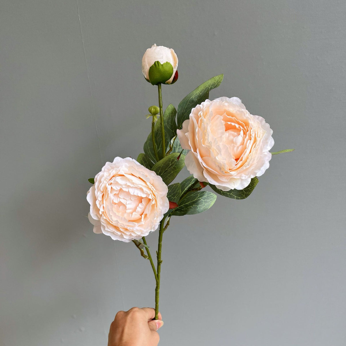 Elegant Peony Floral Stem