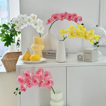 Decorative Orchid