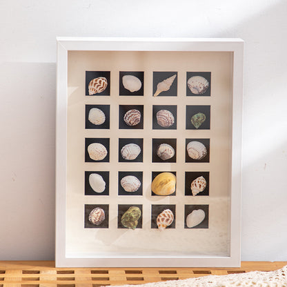 Schalenkunst-Displayrahmen