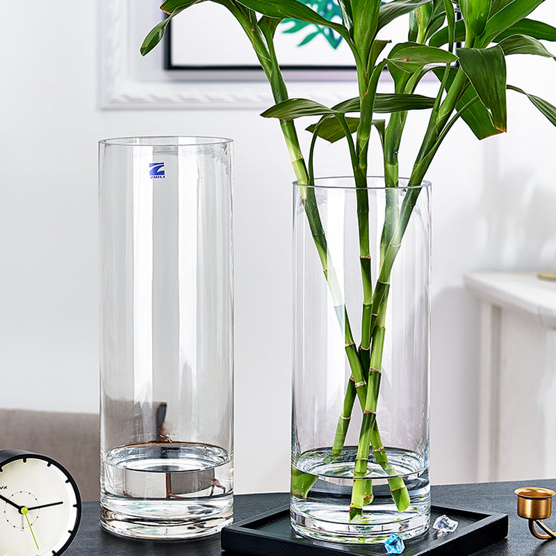 Elegant Glass Vase Homeandso