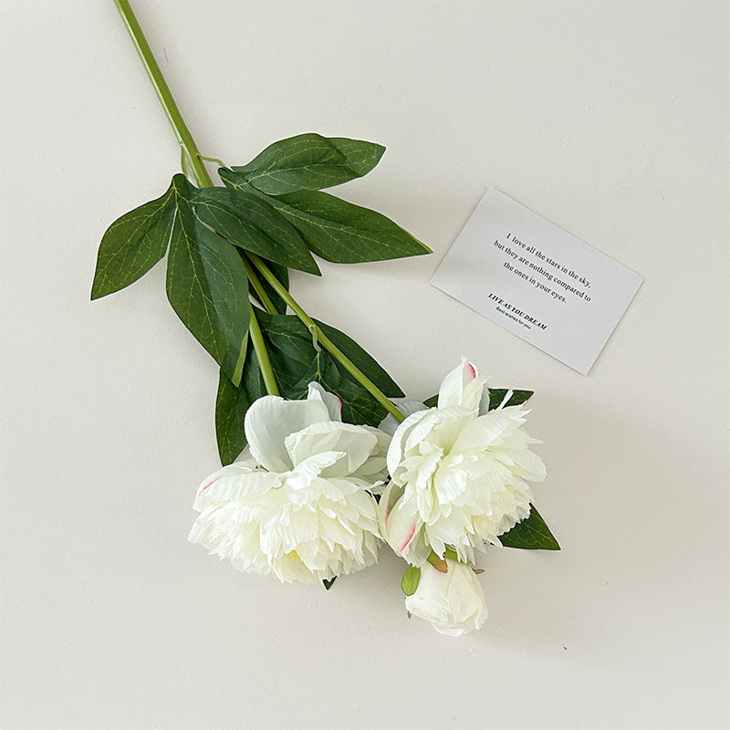Realistic Peony Flower Stem for Home Display