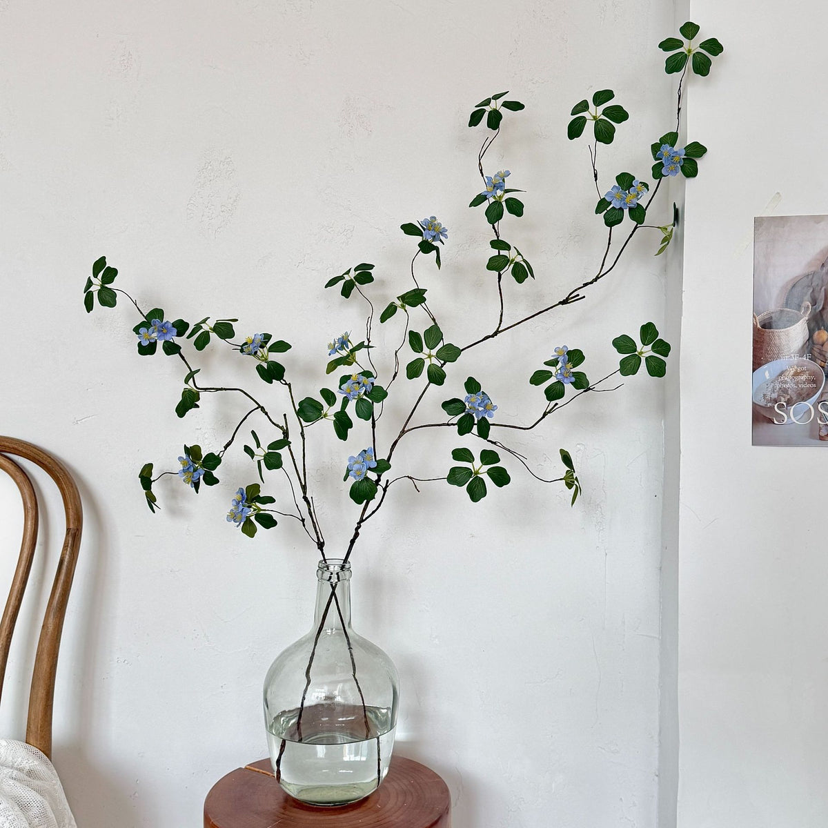 Decorative Botanical
