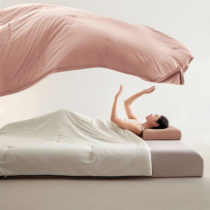 Luxurious Hypoallergenic Comforter Set Homeandso