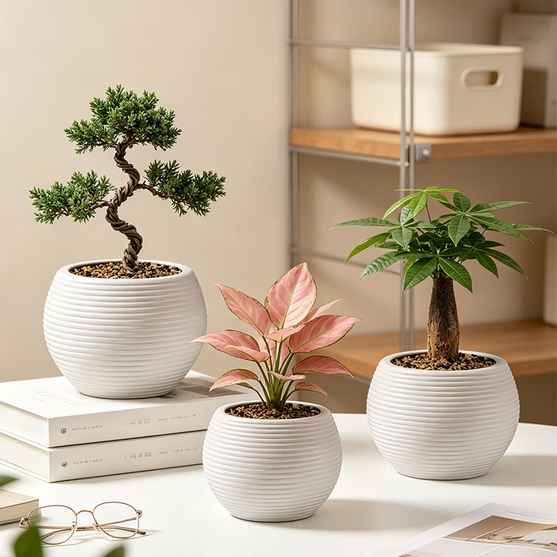 Contemporary Round Plant Pot Homeandso