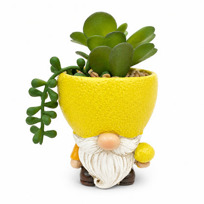 Decorative Gnome Planter for Plants
