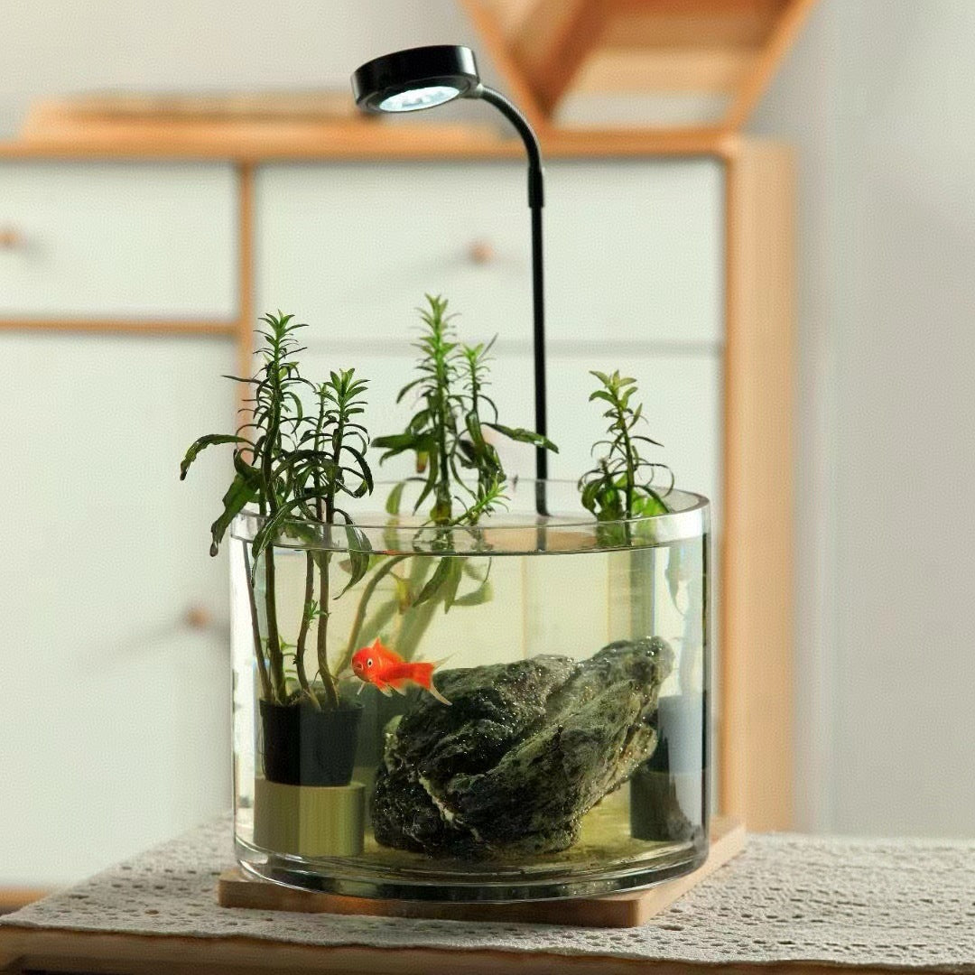 Dekorative Texturierte Glasvase