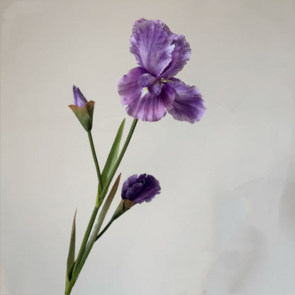 Elegant Floral Arrangement for Home Display
