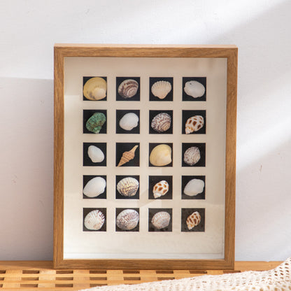 Schalenkunst-Displayrahmen