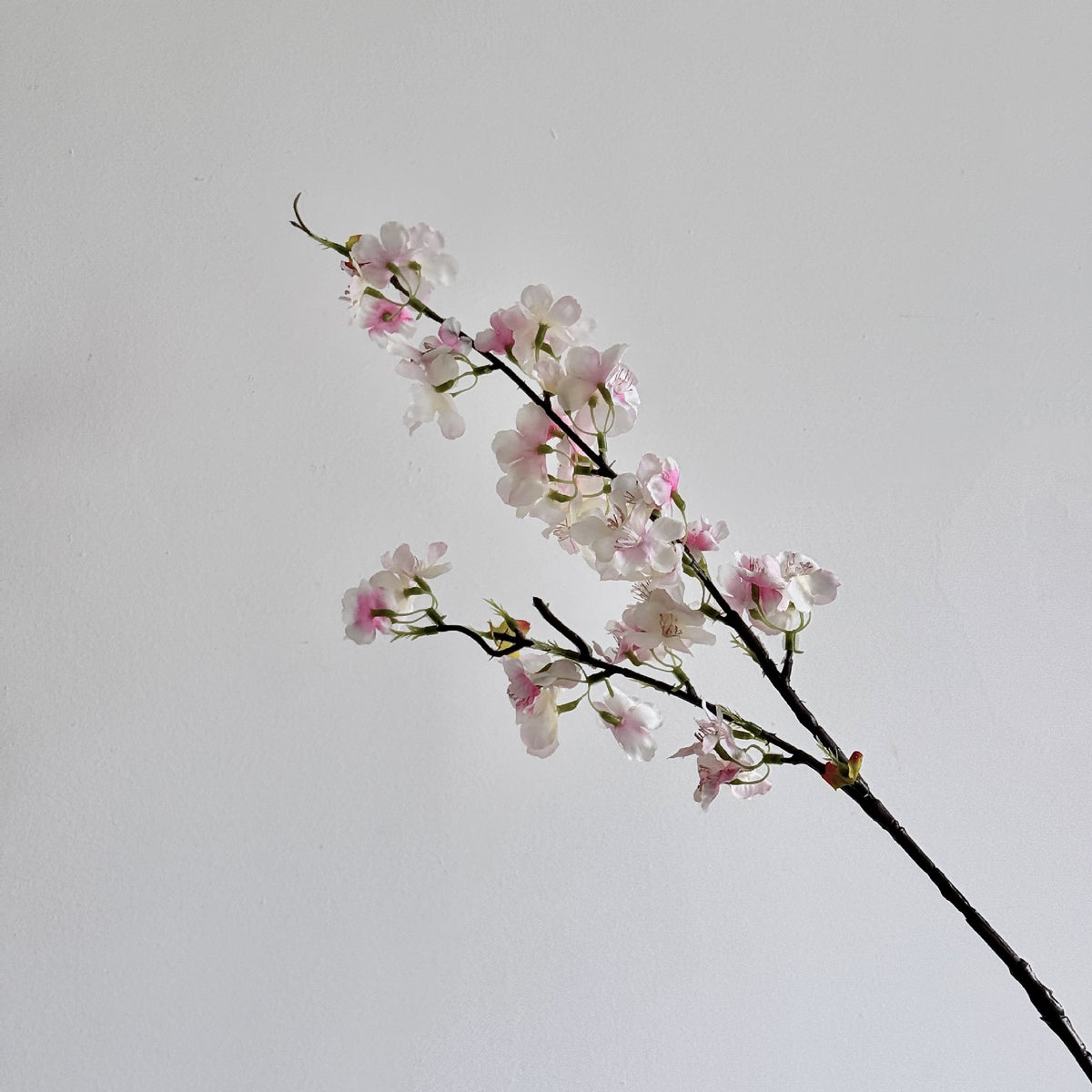 Cherry Blossom Botanical Stem